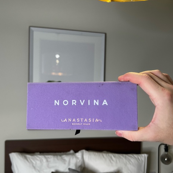 ABH NORVINA - Picture 2 of 2